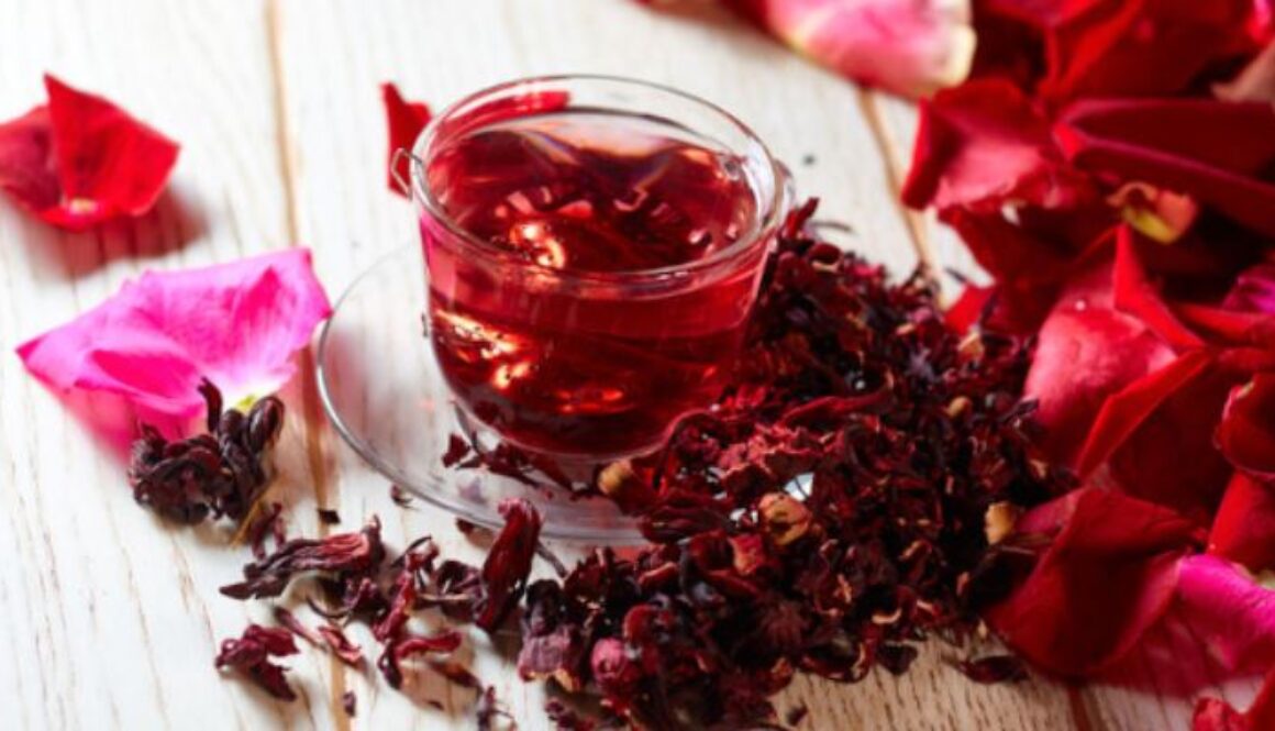 hibiscus gmi