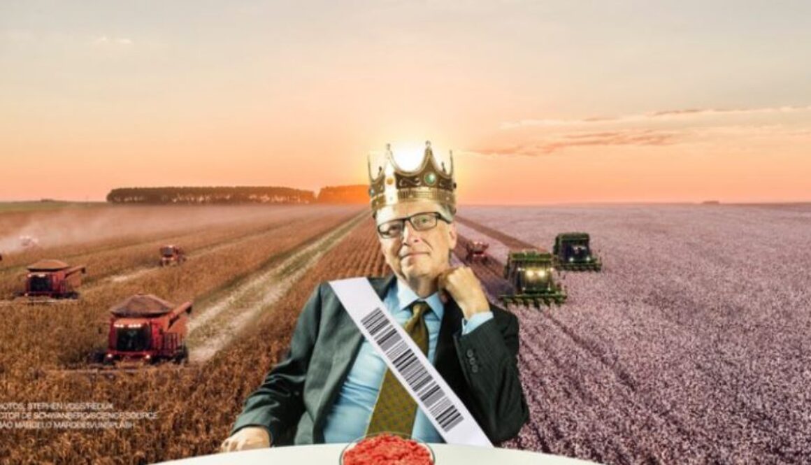 king bill