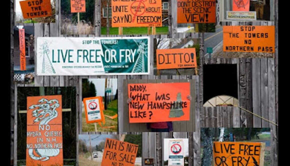 live free