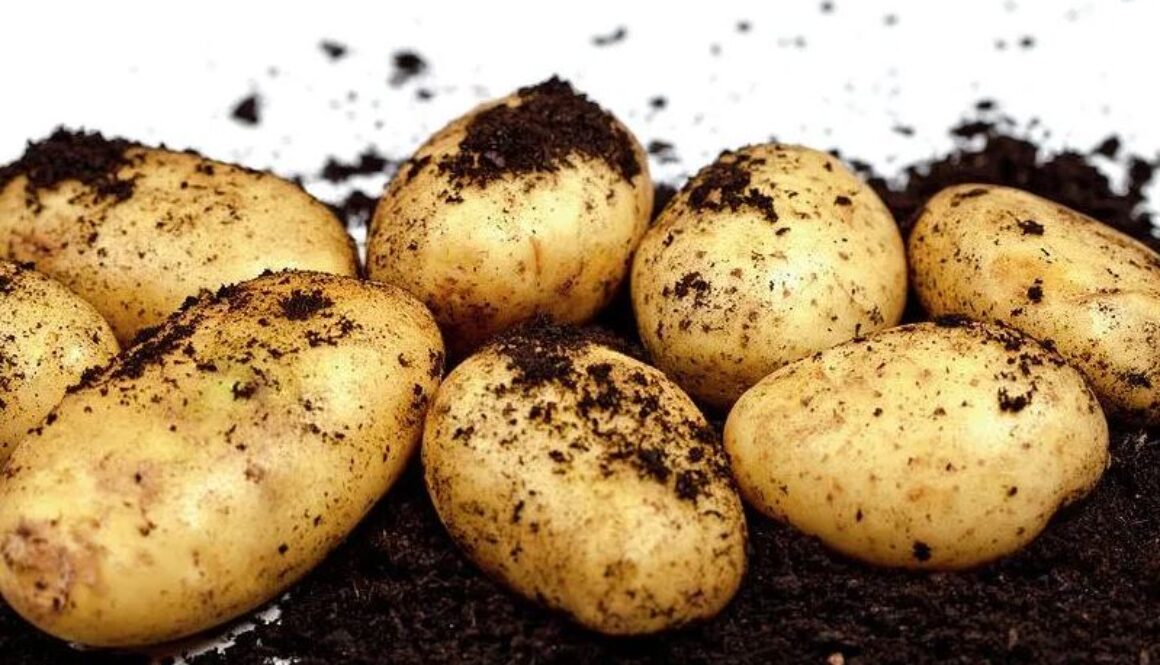 potatoes cap