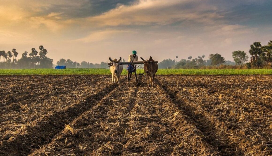 farming shortages electro