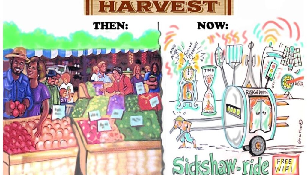 harvest wifi flo freshman