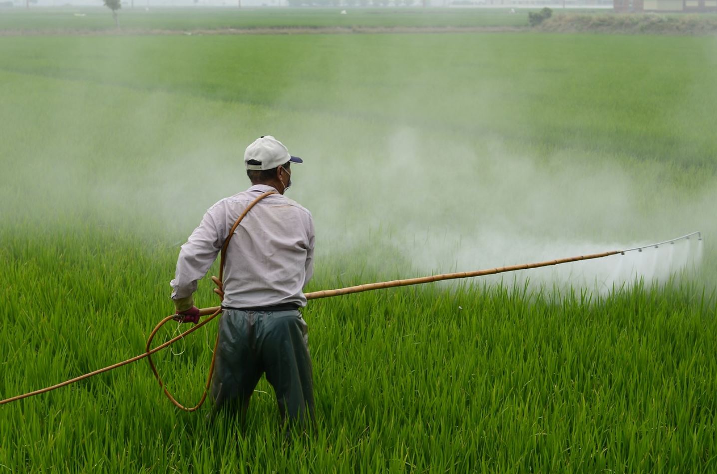 pesticide pix pesticide pix