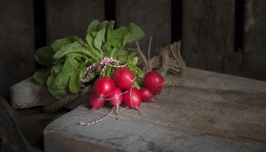 radish pix