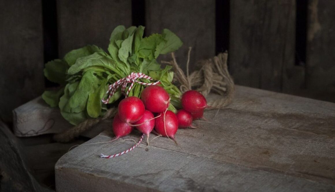 radish pix