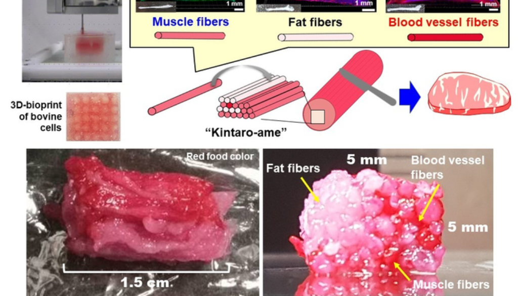 3d printed beef zh
