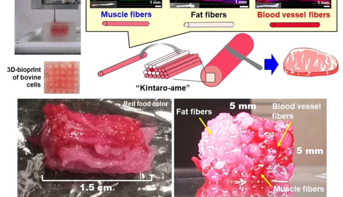 3d printed beef zh