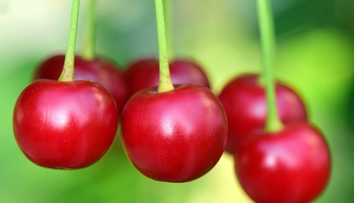 cherry