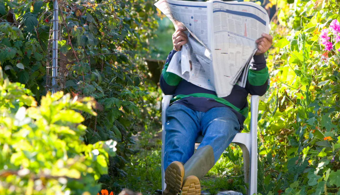 garden reading conversation