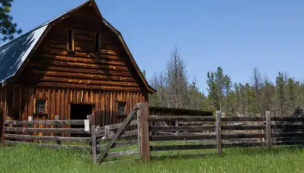 homesteading rn