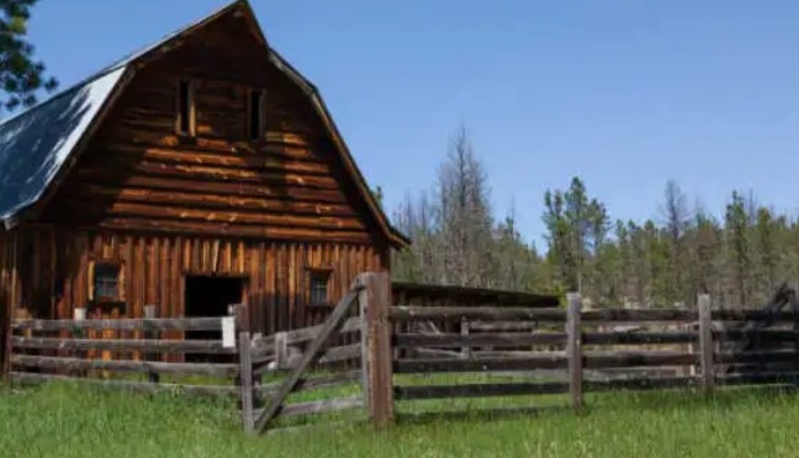 homesteading rn