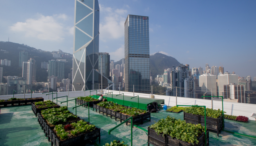 hong kong rooftop prc