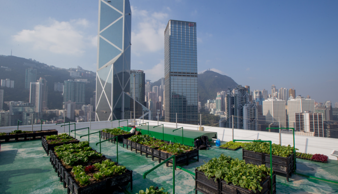 hong kong rooftop prc