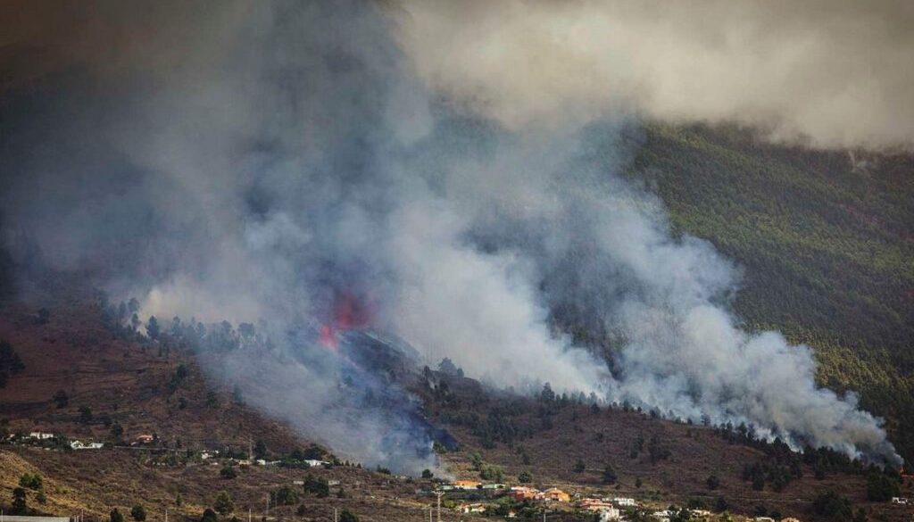 la palma ap
