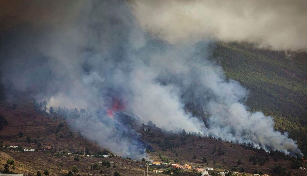 la palma ap