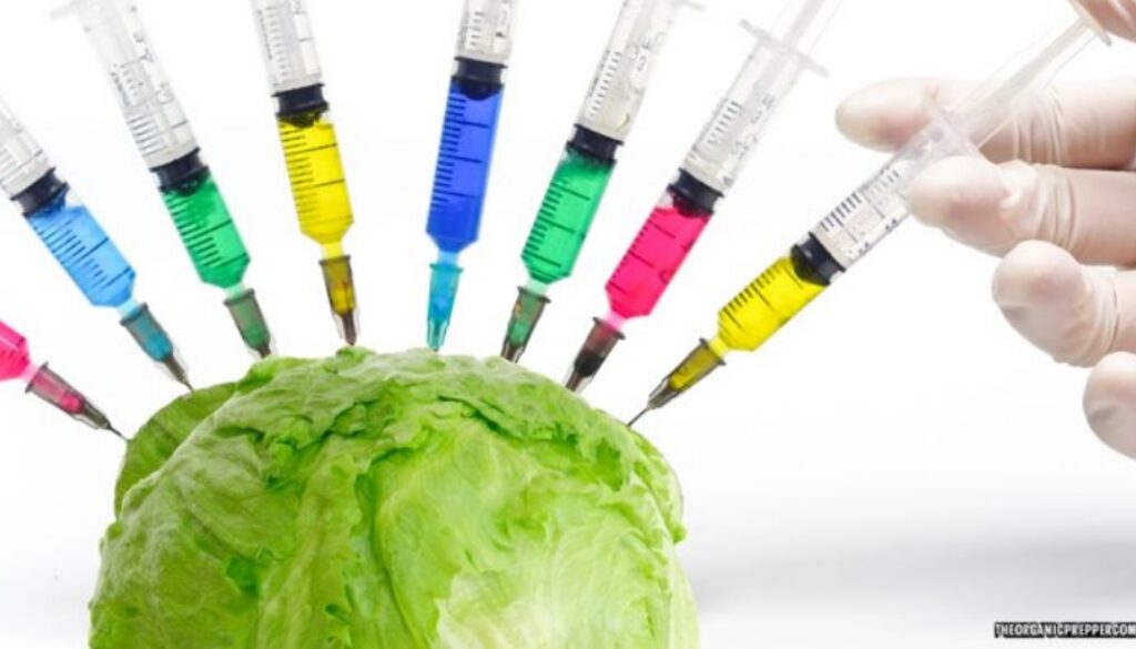 lettuce vax