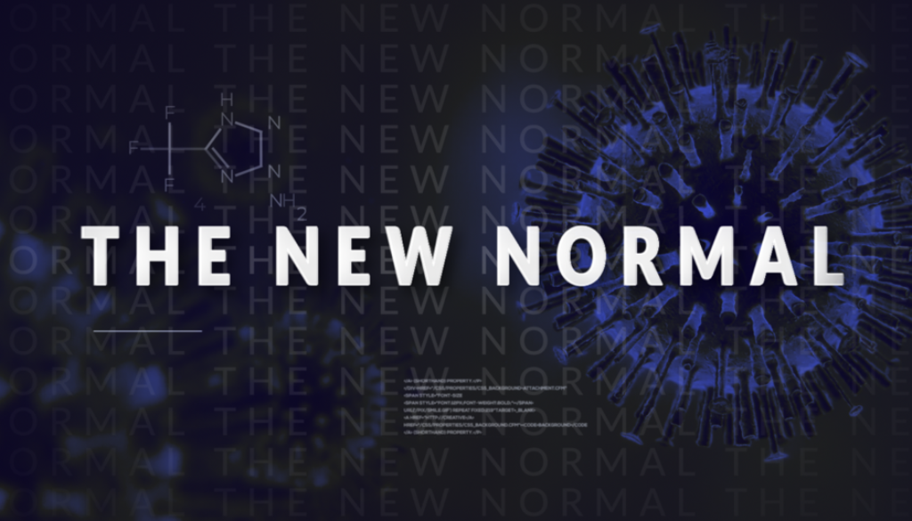 new normal
