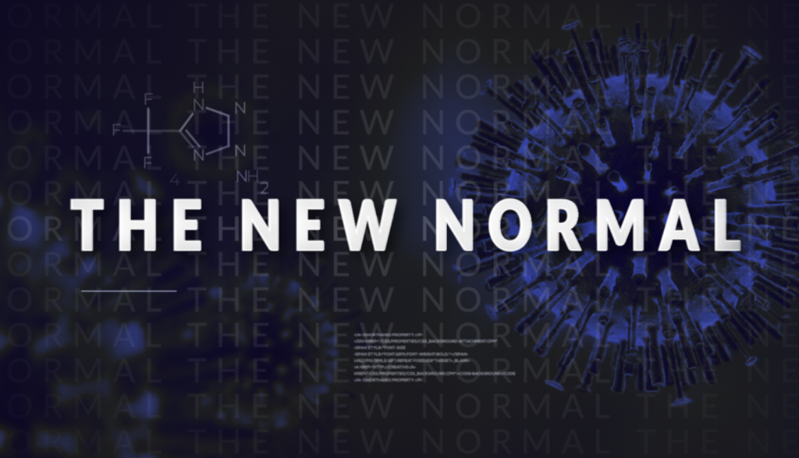 new normal