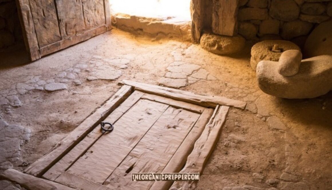 prepper hideout op