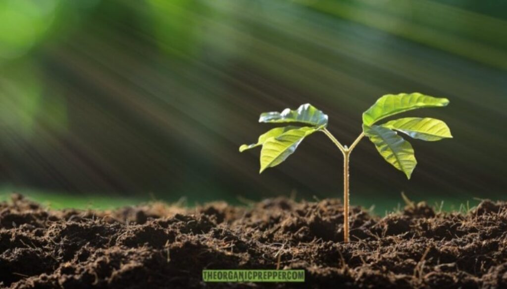 soil health op