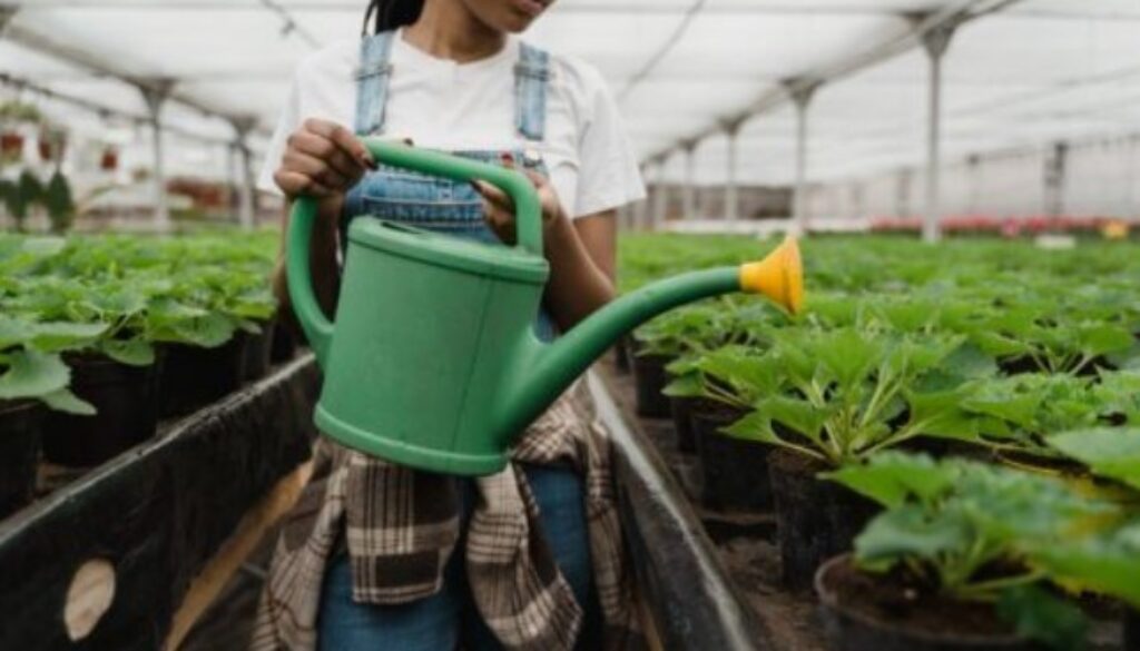 vaccine plants