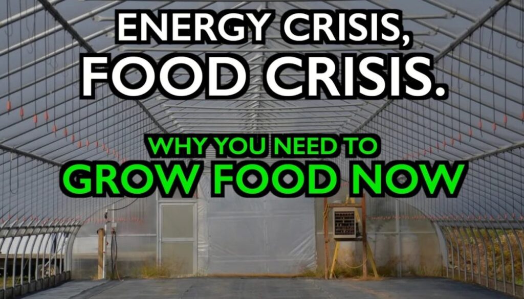 energy food crisis