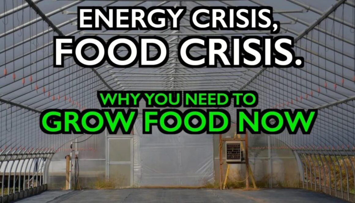 energy food crisis