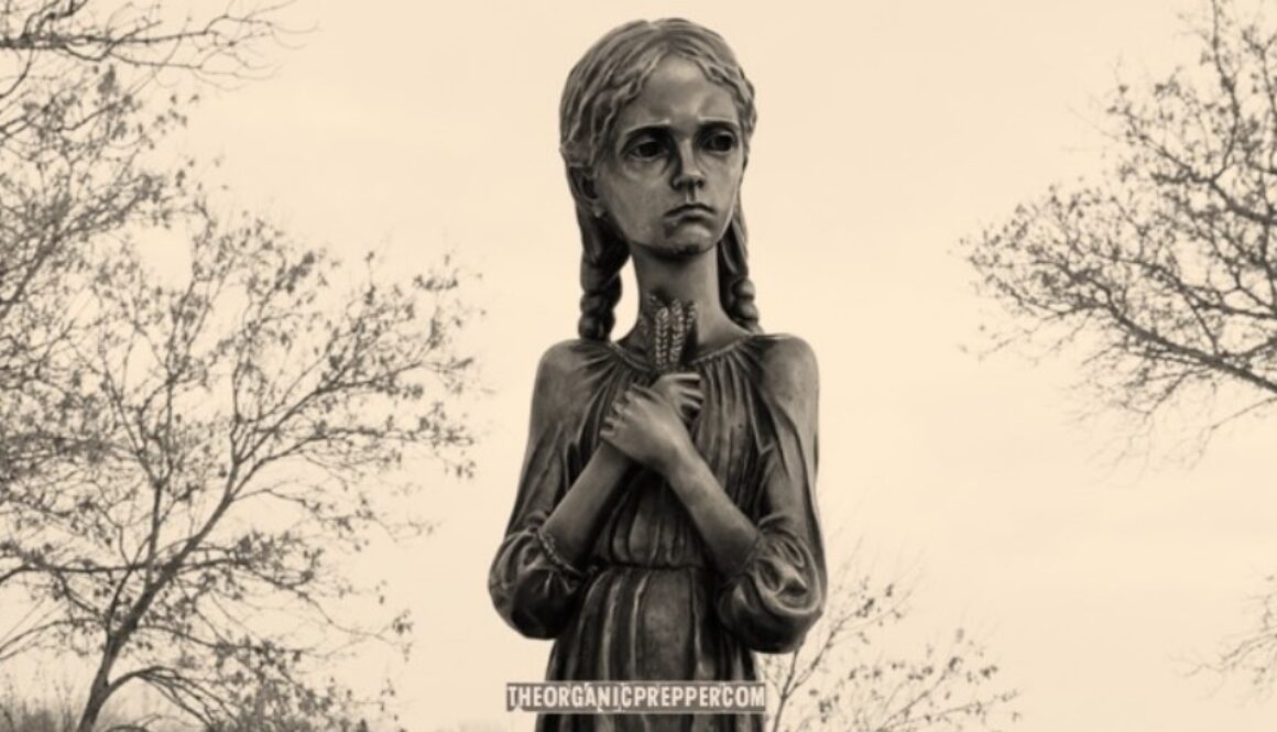 holodomor op