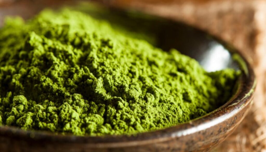matcha gmi
