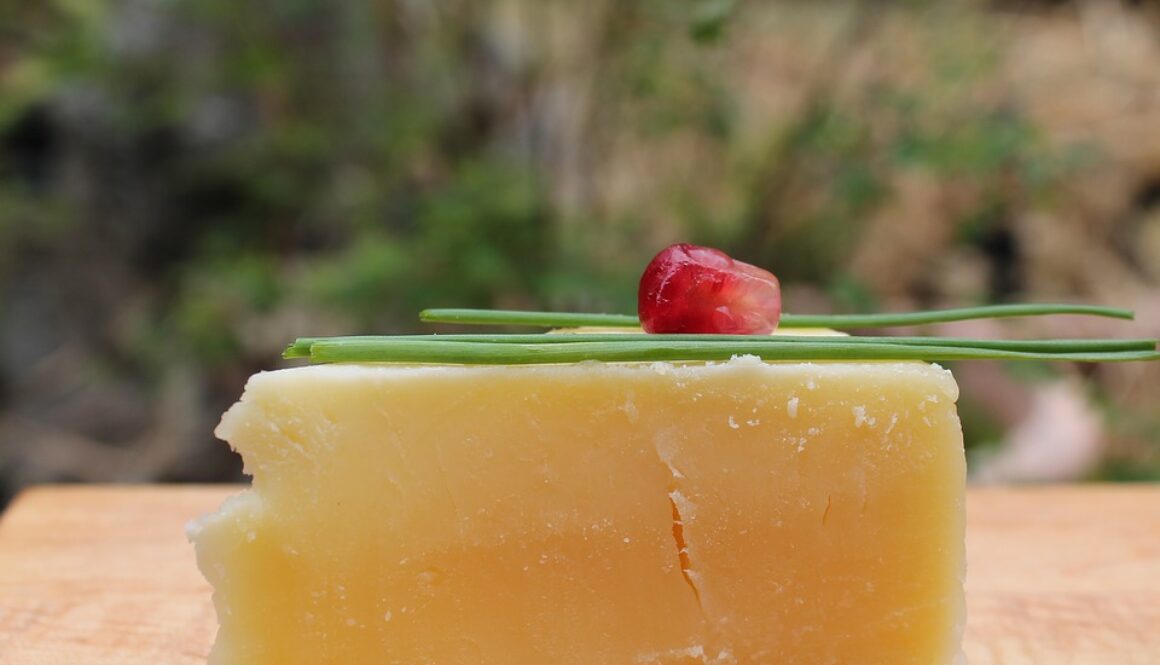 cheddar cheese pix