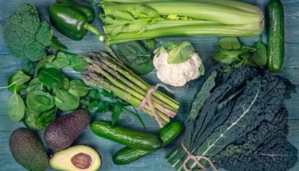plant diet tt