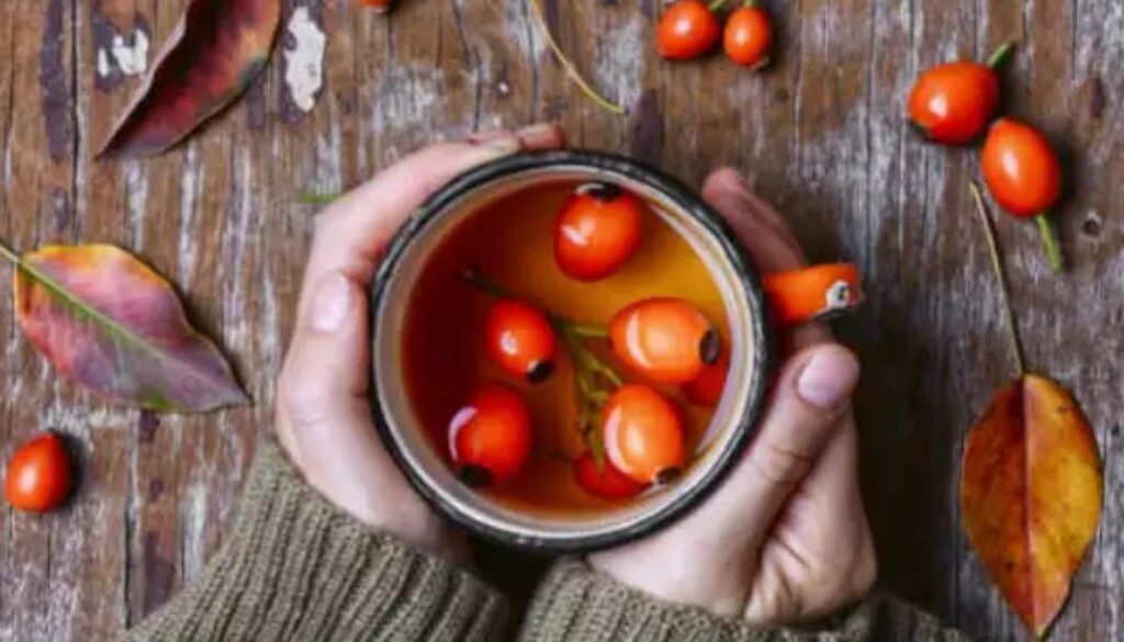 rosehip tea