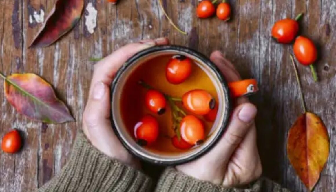 rosehip tea