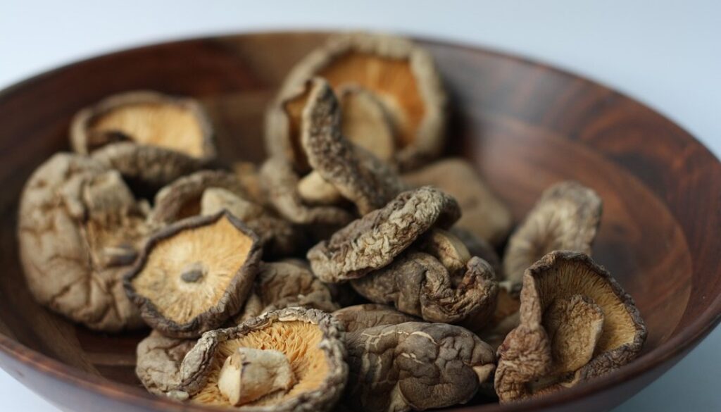shiitake pics
