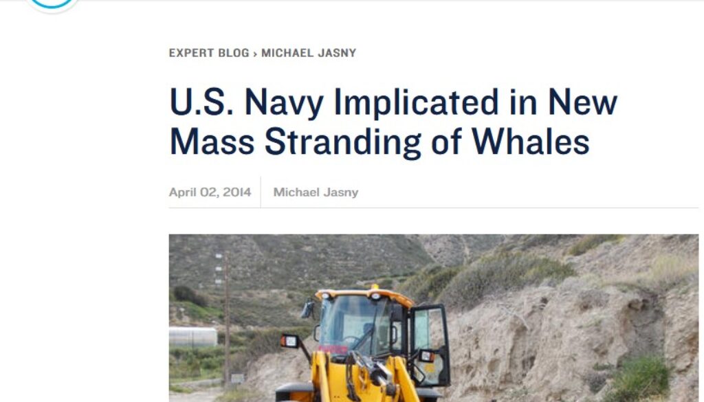 mass stranding