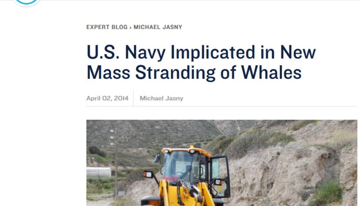 mass stranding