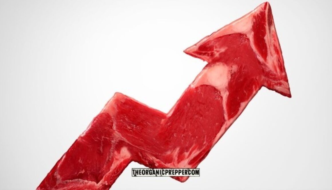 meat prices op