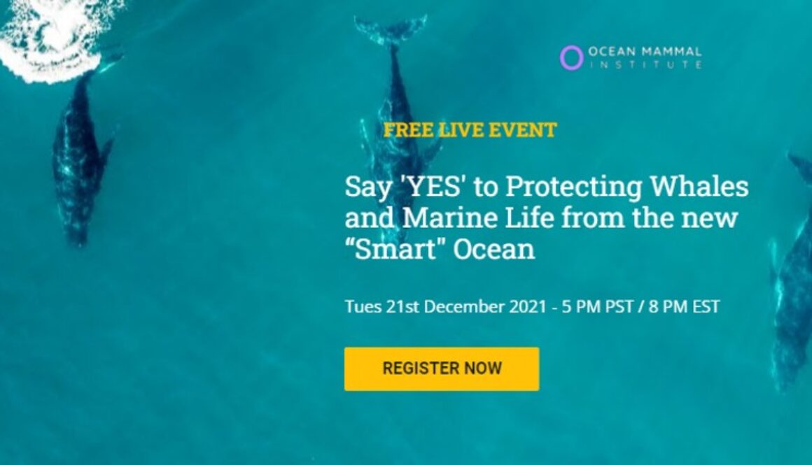 smart ocean