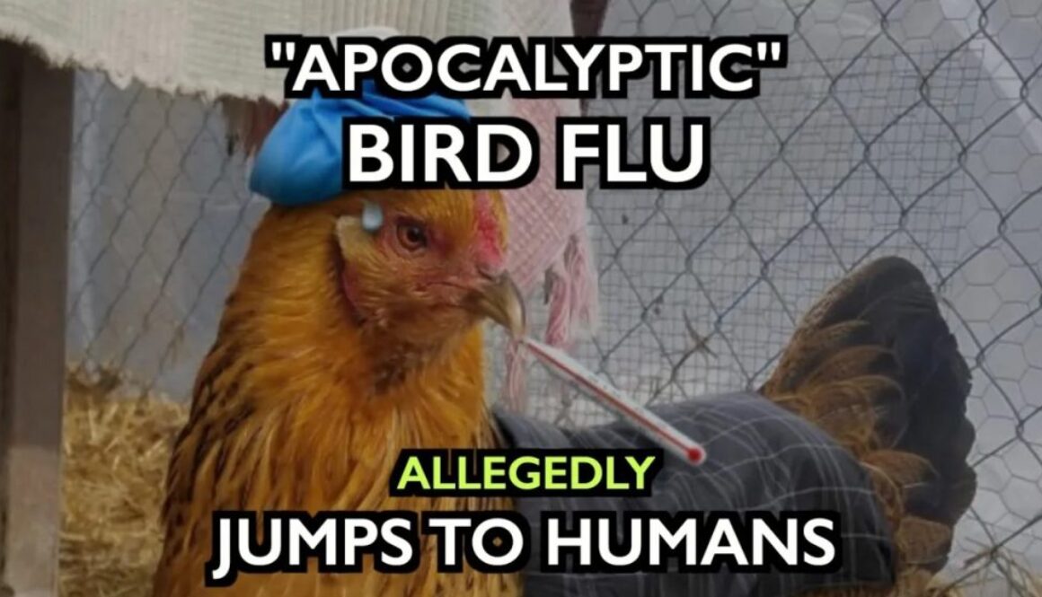 bird flu