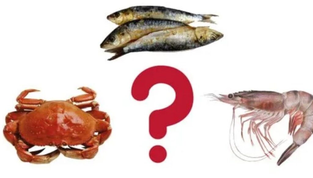 microplastic seafood