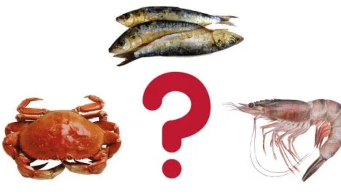 microplastic seafood