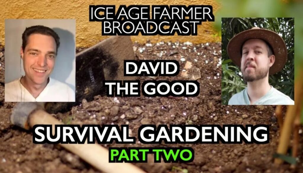 sg part 2