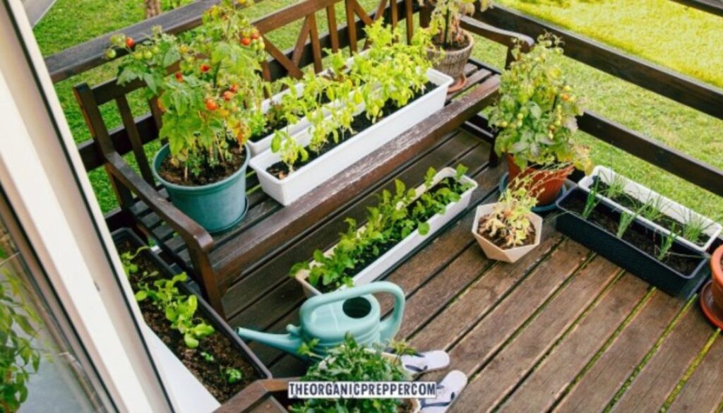 apt garden op