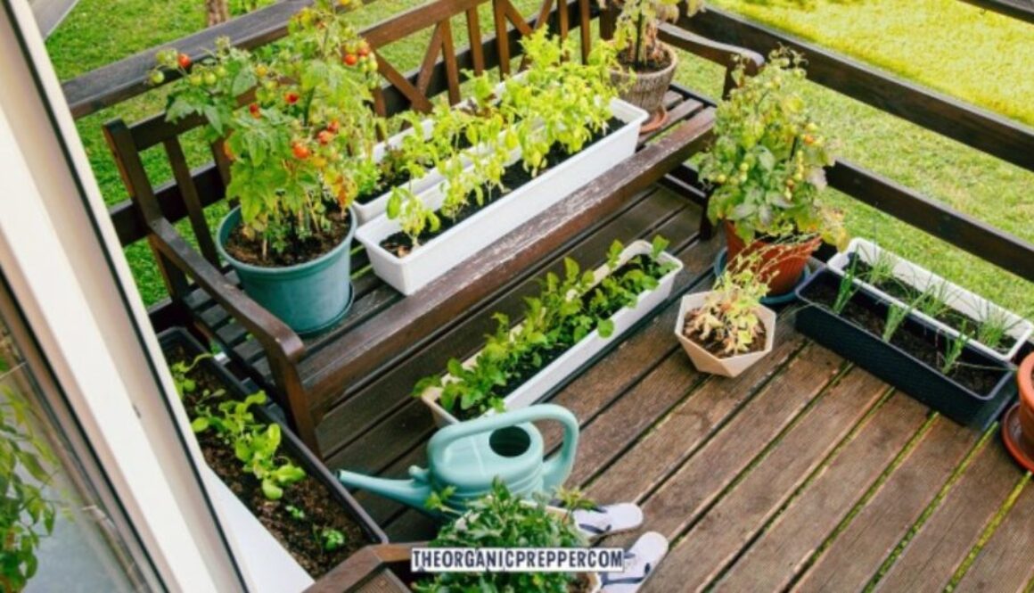 apt garden op