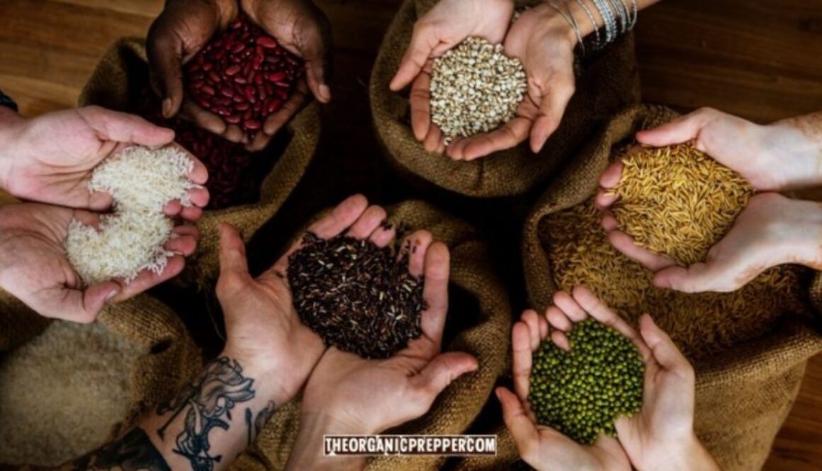 seed share