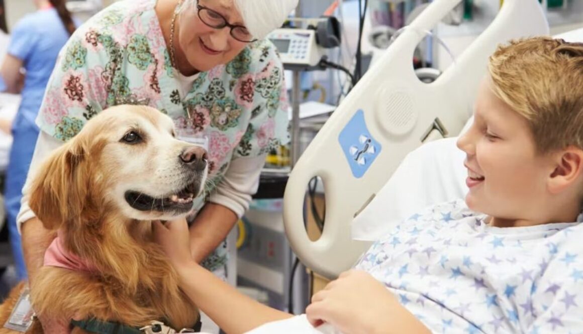 pet therapy