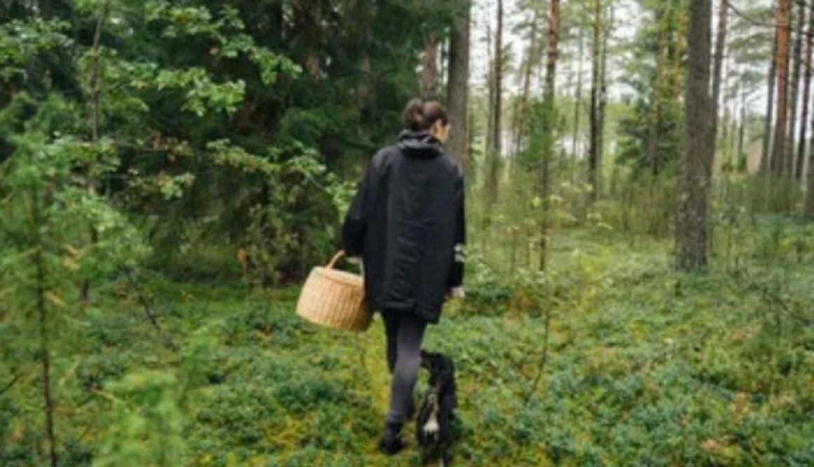 forage