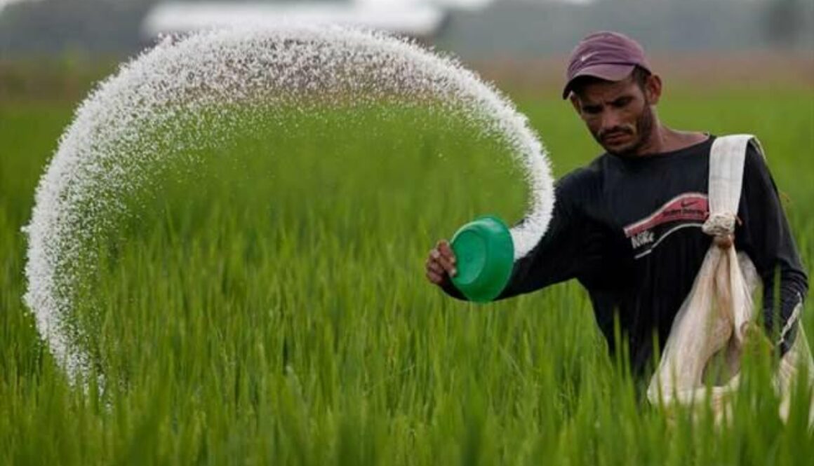 fe-Fertilizers1