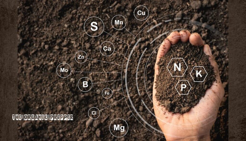 garden-nutrients-1024x536
