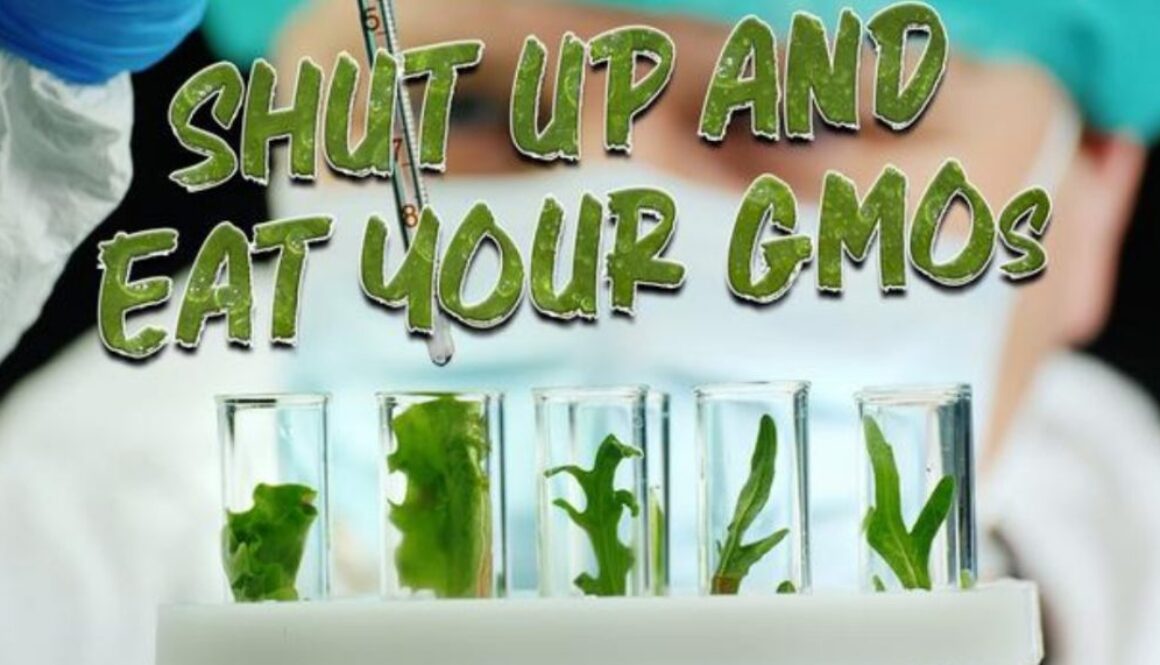 gmo corb